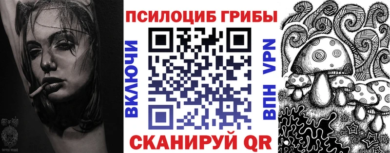 кракен сайт Находка Галлюциногенные грибы мицелий